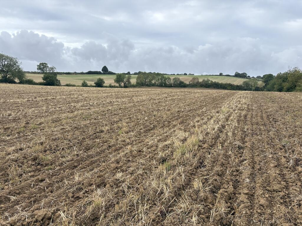 Main image of property: Lot 6- Land At Byfield, Daventry, Northamptonshire, NN11 6XU