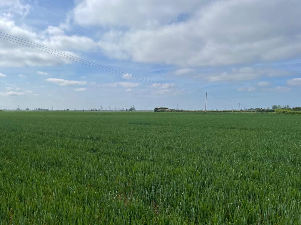Main image of property: Land Off Mill Road, Walpole Highway, Wisbech, Norfolk , PE14 7QL