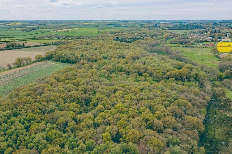 Main image of property: Woodland, Litcham Warren, Litcham, King's Lynn, Norfolk, PE32 2RW