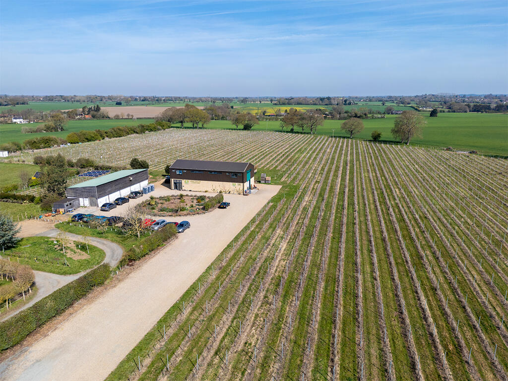 Main image of property: Chet Valley Vineyard, Loddon Road, Bergh Apton, Norwich, Norfolk, NR15 1BT