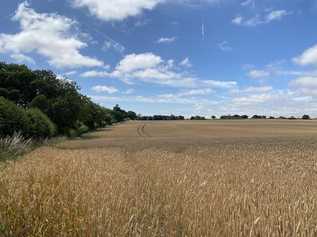 Main image of property: Arable Land , Off Topshill Road, Hanworth, NR11 8TS
