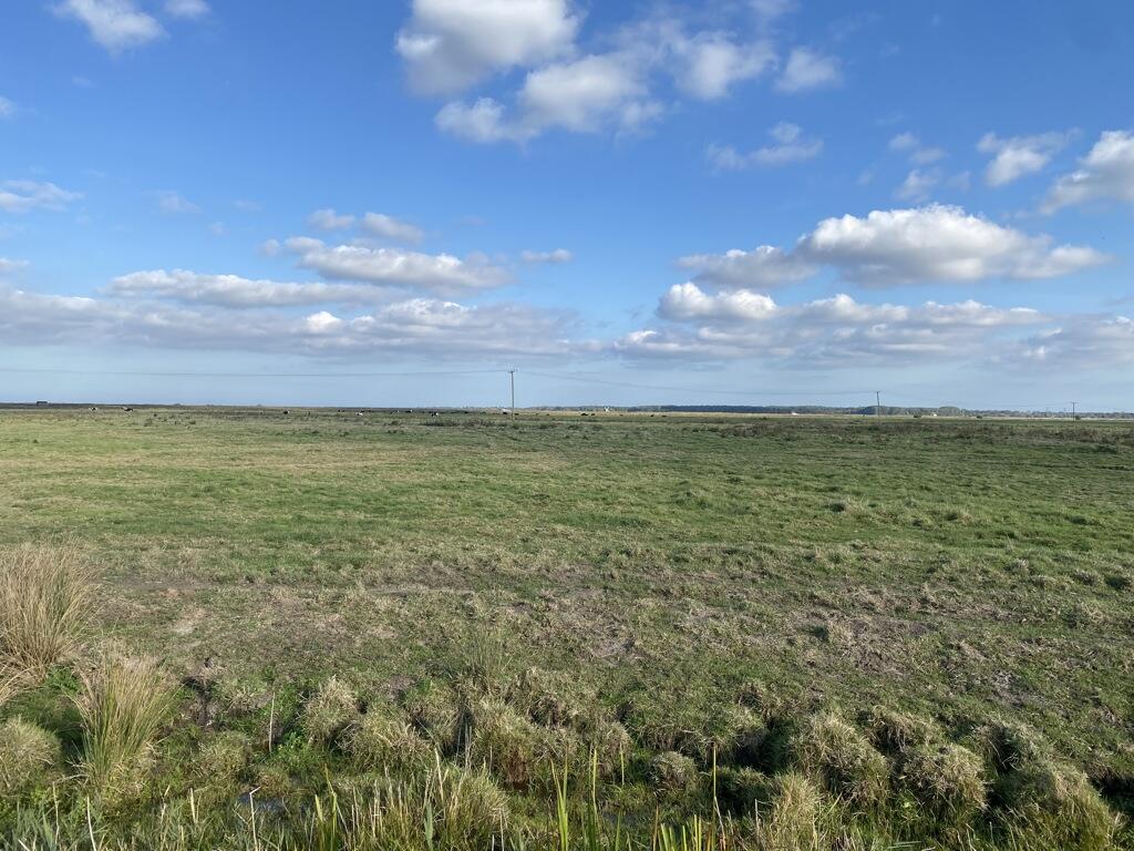 Main image of property: Marshes At Thurlton, The Street, Thurlton, Norwich, Norfolk, NR14 6RP