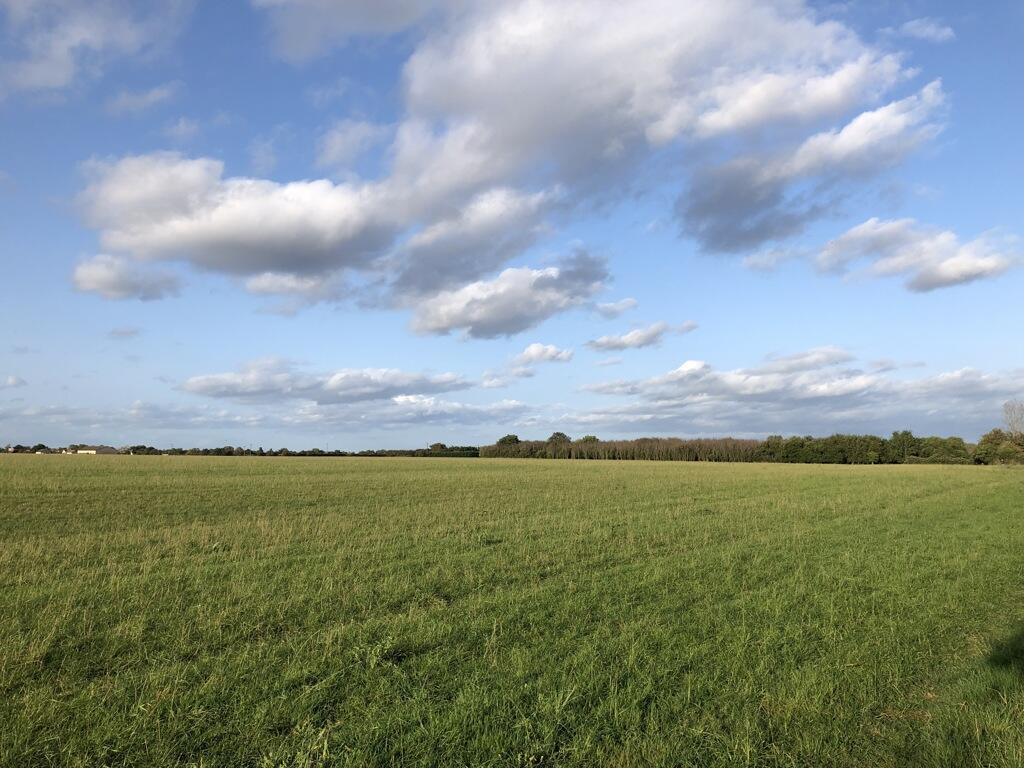 Farm land for sale in Land At Earith, Huntingdon, Cambridgeshire, PE28