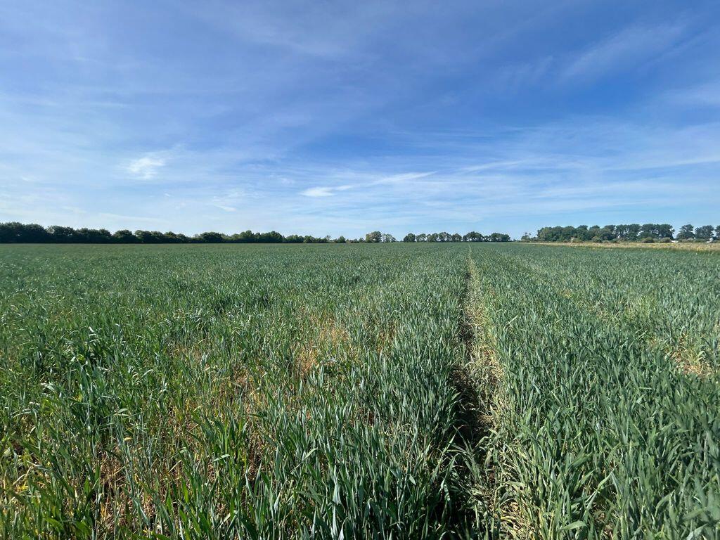 Main image of property: Land At Meadow Road, Willingham, Cambridgeshire, CB24 5JL