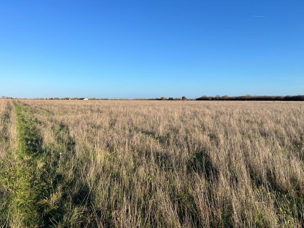 Main image of property: Land At Colne Road, Earith, Huntingdon, Cambridgeshire, PE28 3QR