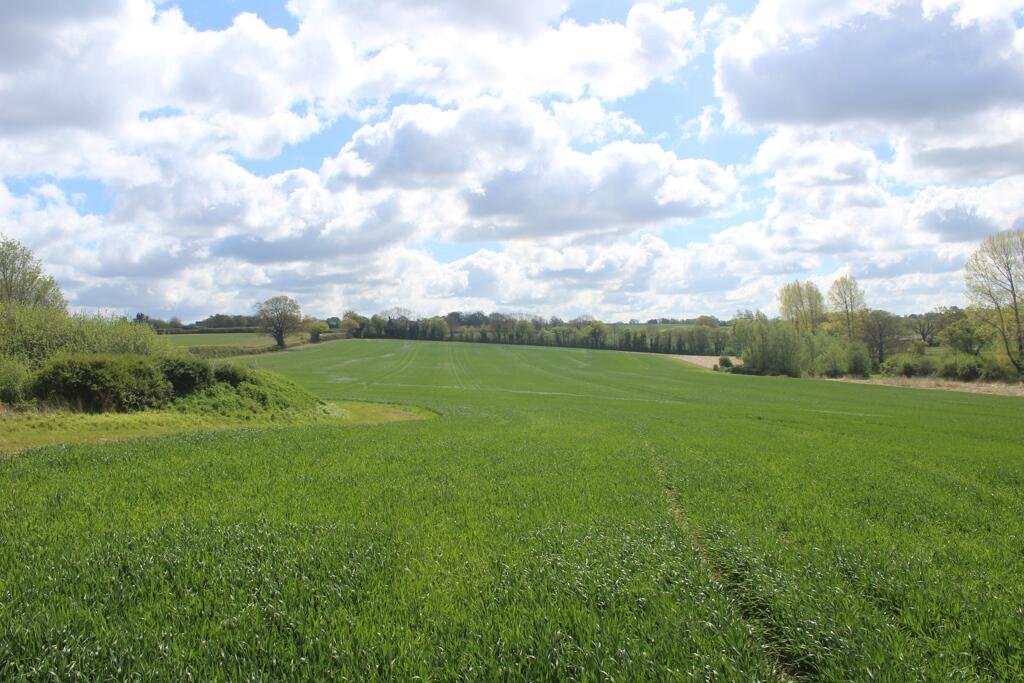 Main image of property: Land At Brook Green, Bell Lane, Hawstead, Bury St. Edmunds, Suffolk, IP29 5NW