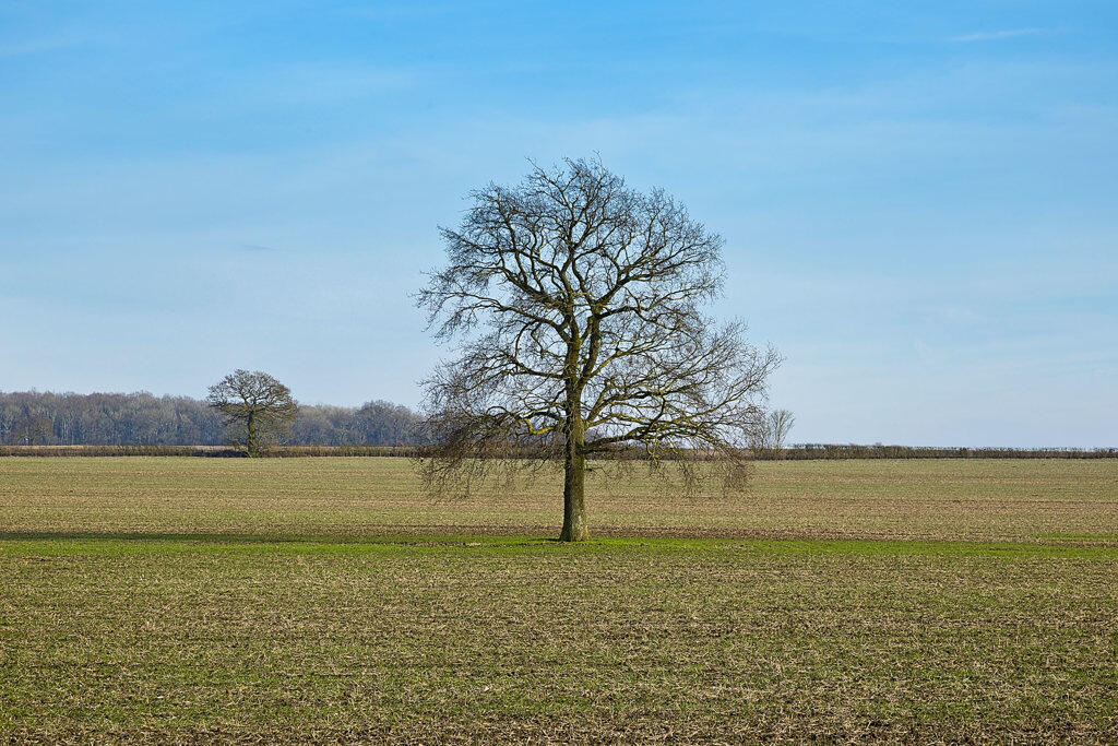 Main image of property: Westley Hall Farm , Church Lane, Westley Waterless, Newmarket, Cambridgeshire, CB8 0RL