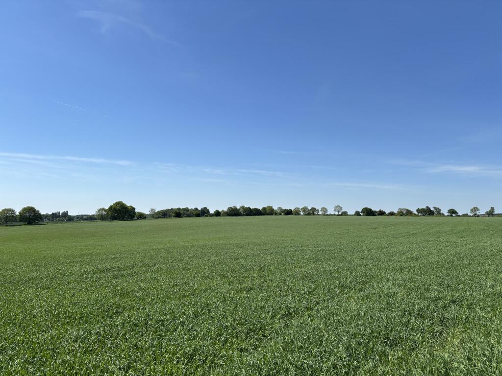 Main image of property: Lot 1 - Land At Attleton Green, Wickhambrook, Newmarket, Suffolk, CB8 8YA