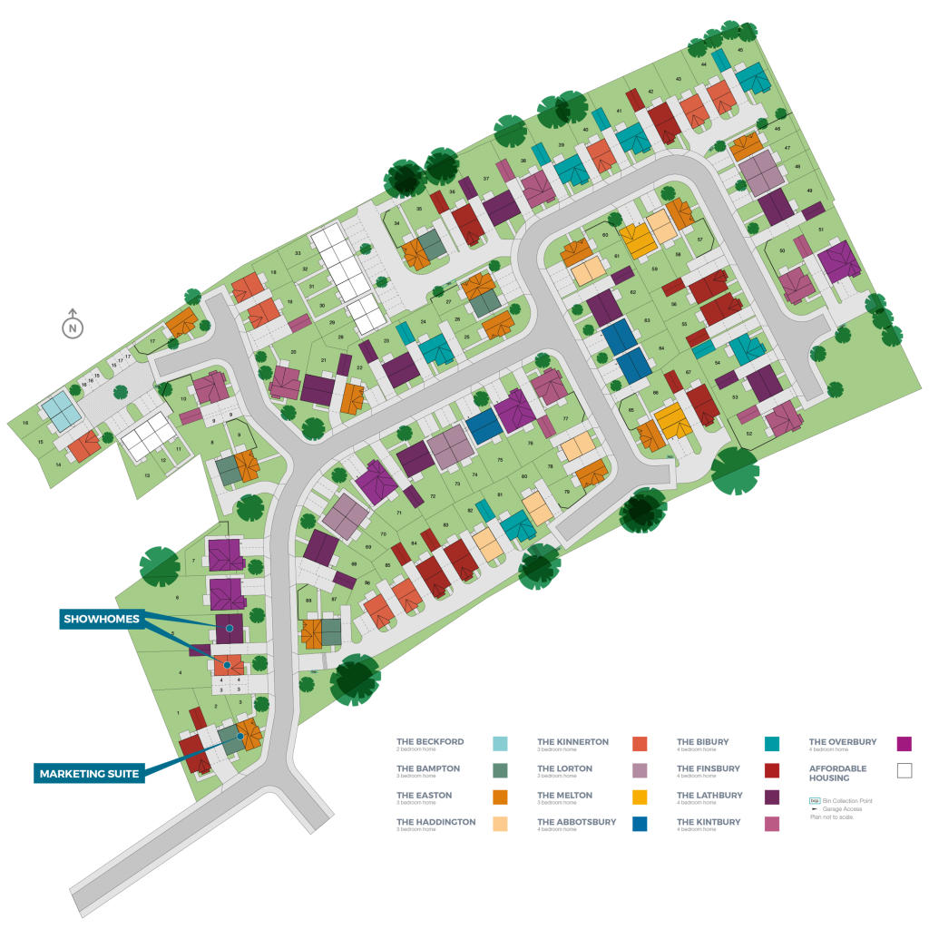 Site Plan