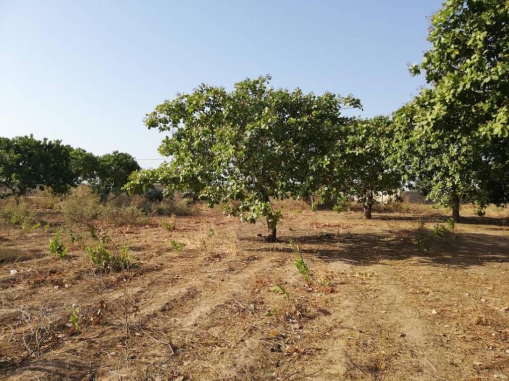 Property for sale in The Gambia The Gambia Property for Sale