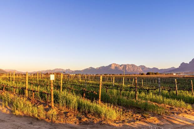 Main image of property: Val de Vie Estate, Val de Vie, Paarl, South Africa