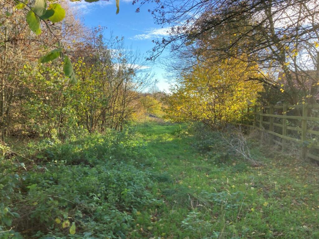 Land for sale in Land, Mill Road, Whitwell, Reepham, Norwich, Norfolk