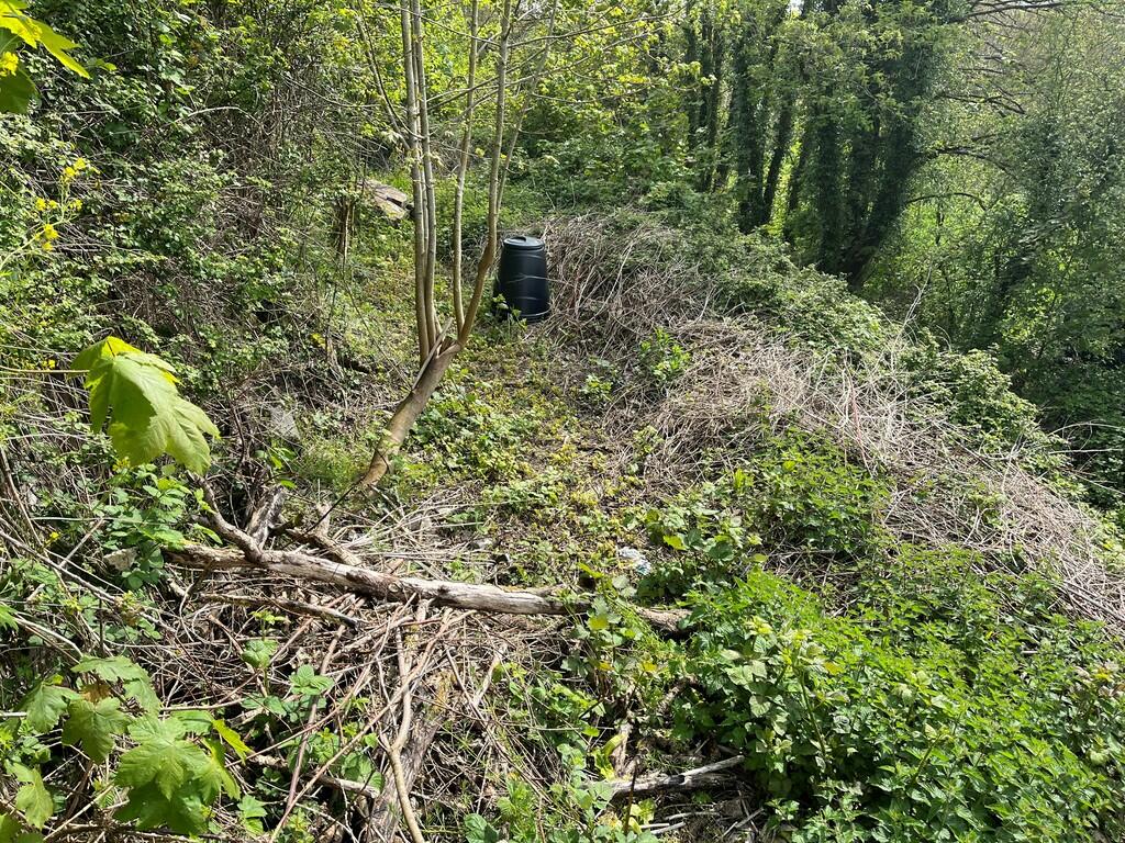 Land for sale in Torrington, Devon, EX38