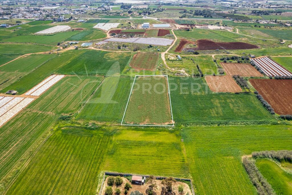 Main image of property: Frenaros, Famagusta, Cyprus