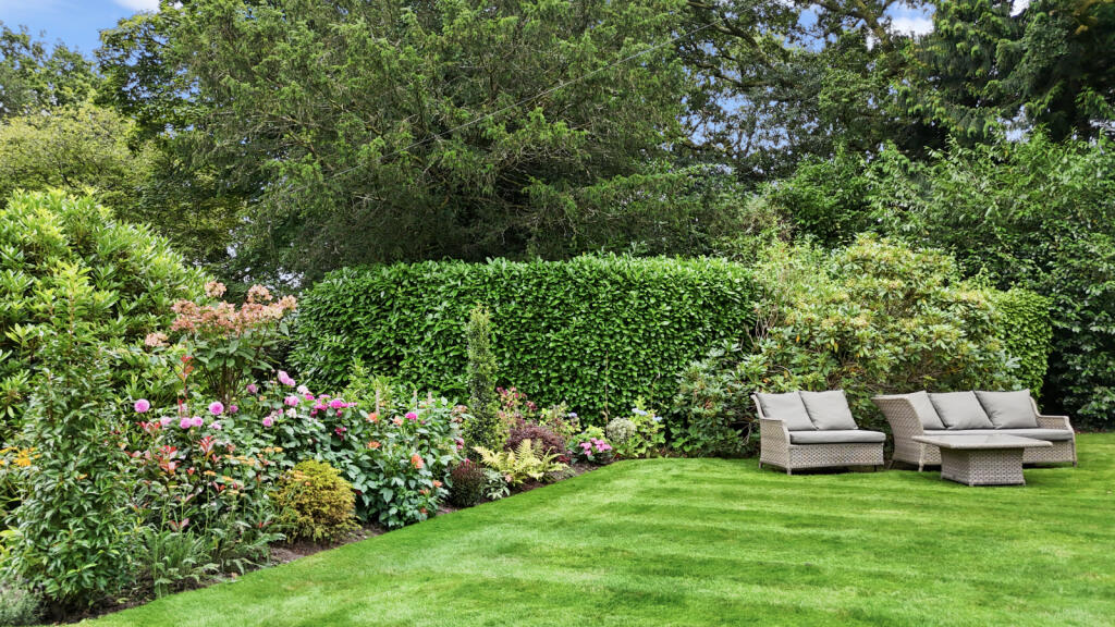 Additional property image - Tyrells Lane, Burley, Ringwood, Hampshire, BH24