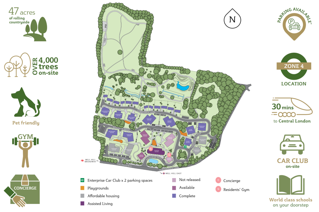 Site Plan