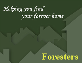 Get brand editions for Foresters, Heathfield