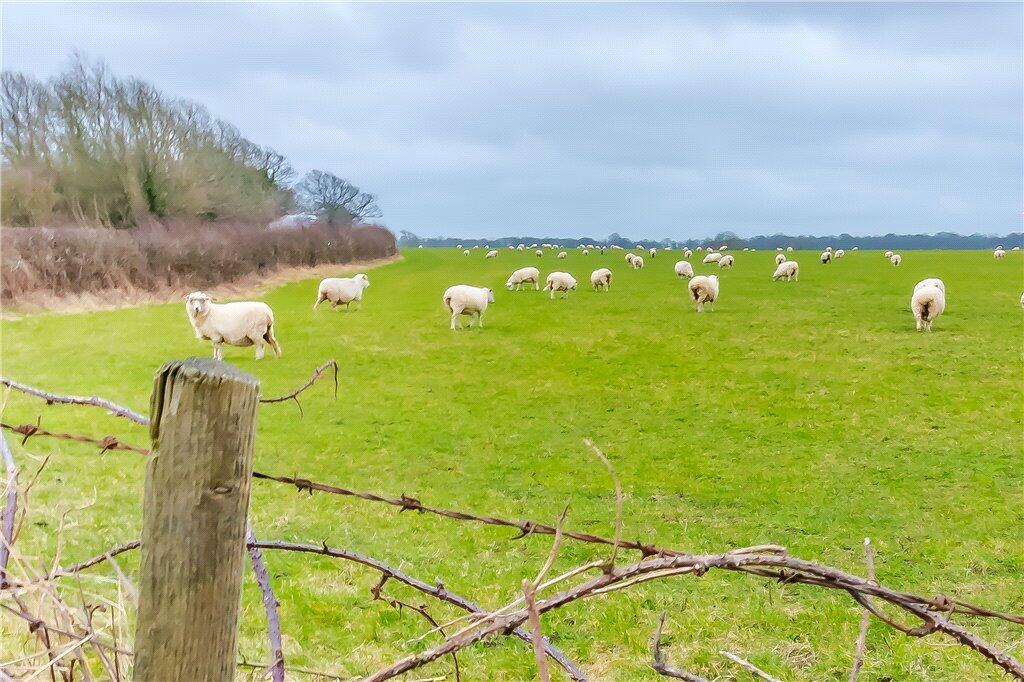 Additional property image - Beech Farm Road, Warlingham, Surrey, CR6