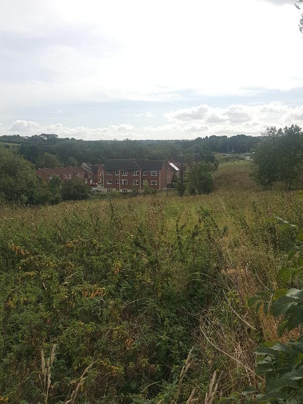 Land for sale in South Church Road, Auckland, County Durham, DL14