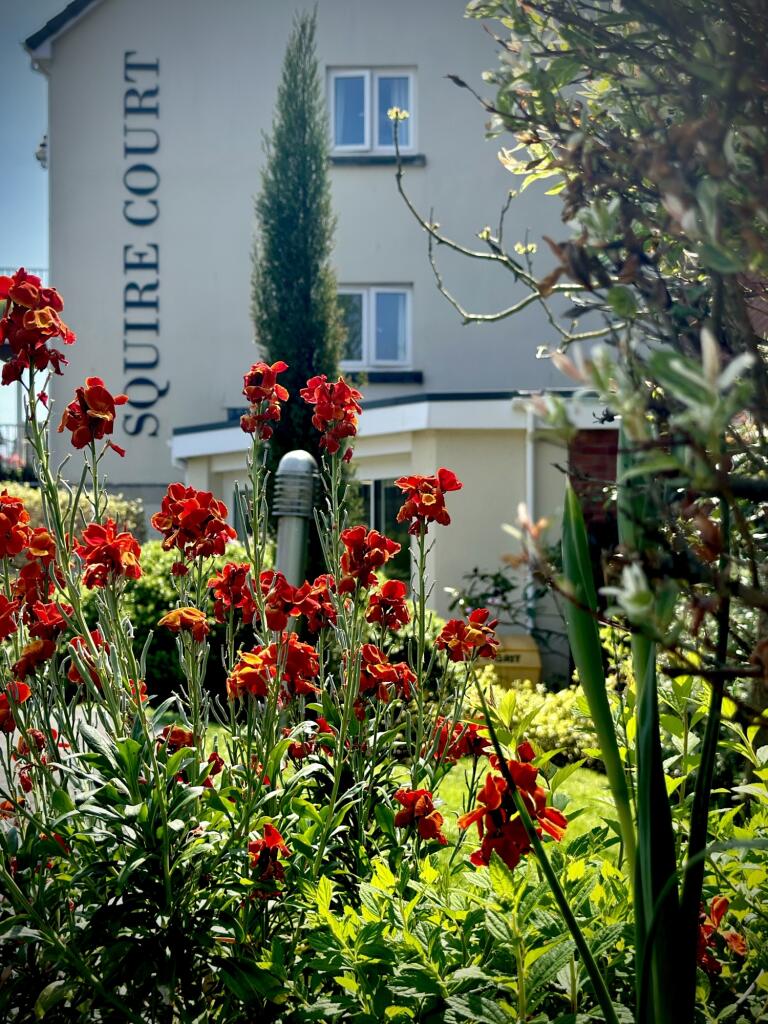 1 bedroom apartment for sale in Squire Court, Raleigh Mead, South Molton, Devon, EX36