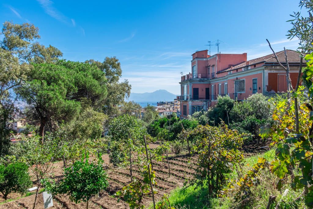 5 bedroom semidetached house for sale in Campania, Naples, Naples, Italy