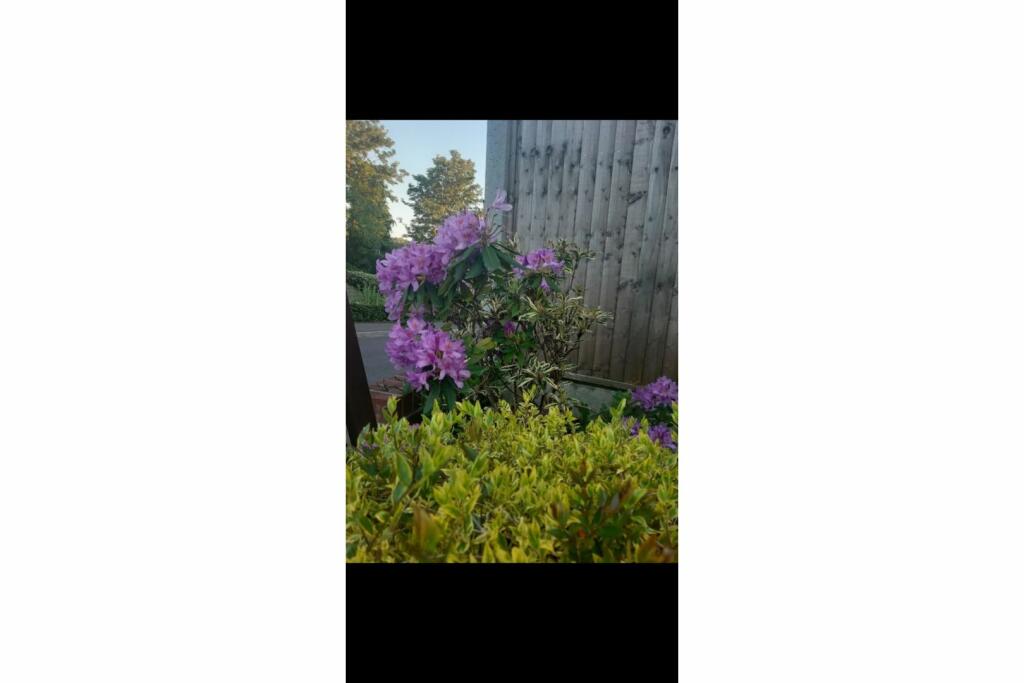 3 bedroom end of terrace house for sale in Flaxfield Road, Beaminster, DT8