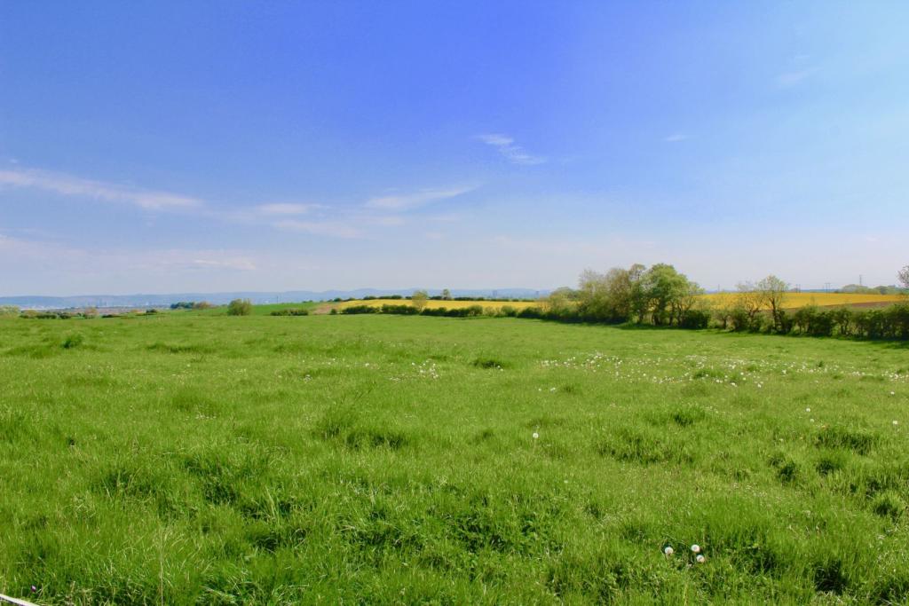 5 bedroom detached bungalow for sale in Dalton Piercy, Hartlepool, TS27