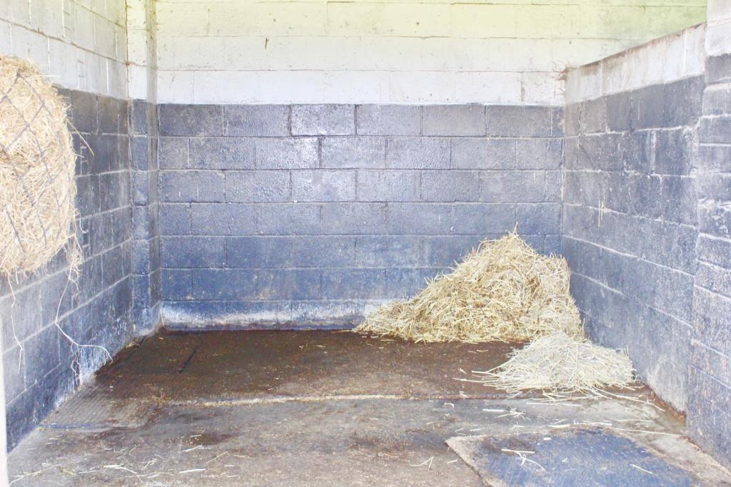 5 bedroom detached bungalow for sale in Dalton Piercy, Hartlepool, TS27