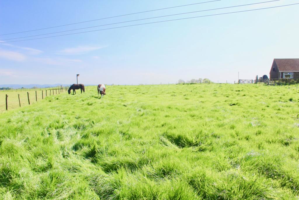 5 bedroom detached bungalow for sale in Dalton Piercy, Hartlepool, TS27