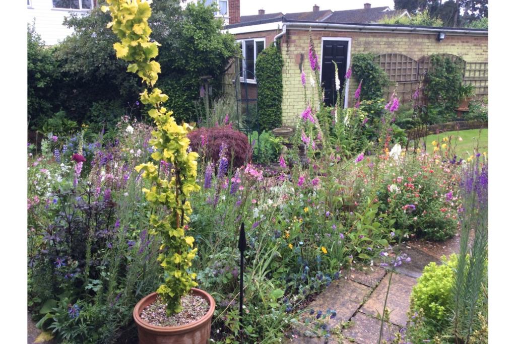 3 bedroom detached bungalow for sale in Chequers Road, Writtle, CM1