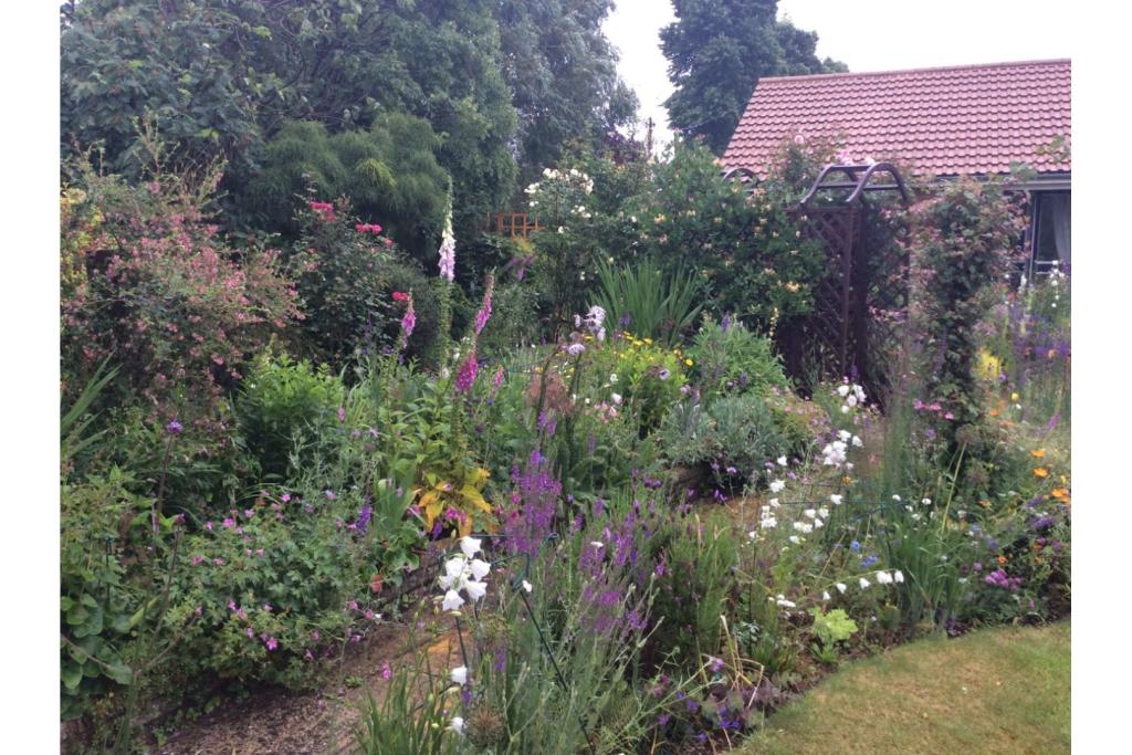 3 bedroom detached bungalow for sale in Chequers Road, Writtle, CM1