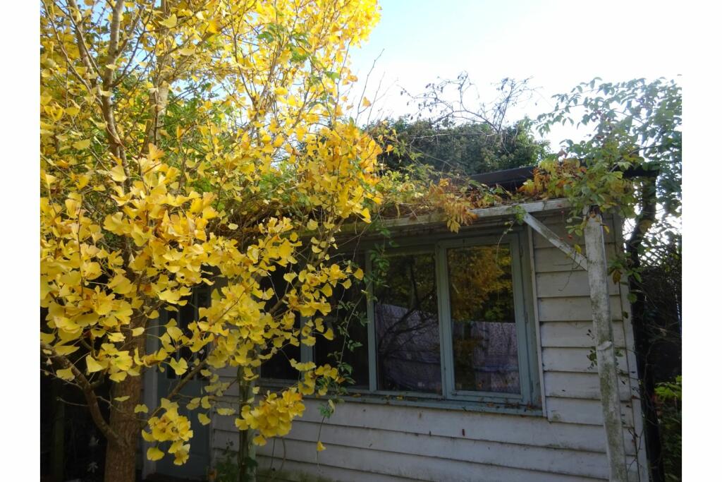 Additional property image - Highfield Close, Cambridge, CB22
