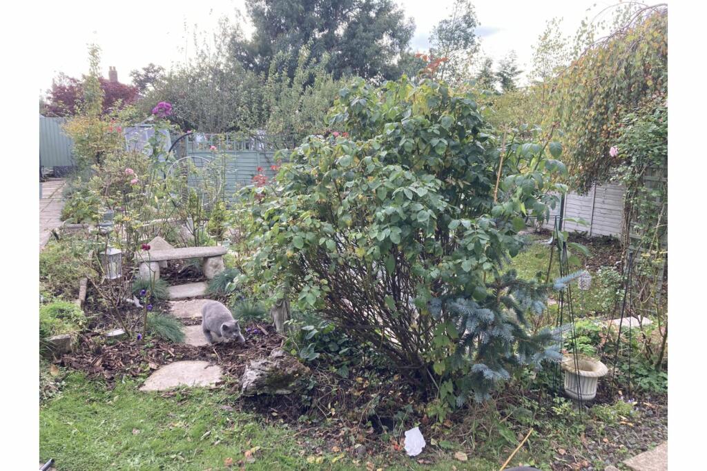 Additional property image - Haymakers Way, Chester, CH1