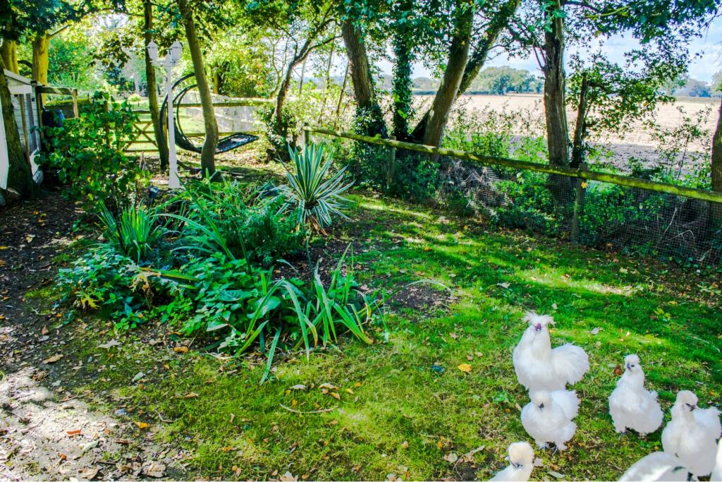 Additional property image - Fowes Lane, Belchamp Otten Sudbury, CO10