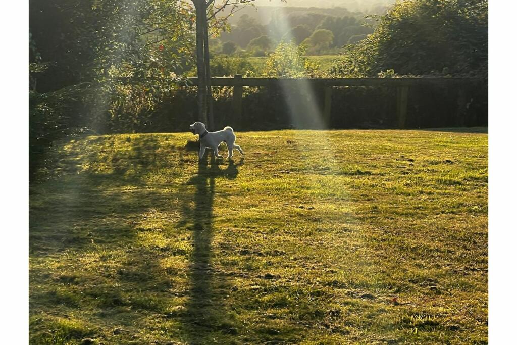 Additional property image - Dunsmore Stud, Rugby, CV23