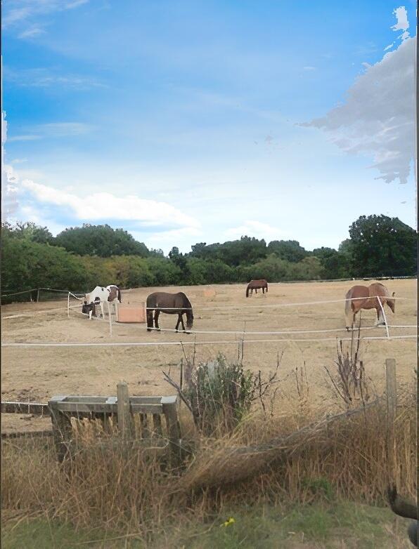 Additional property image - South Farm Cottages, Napsbury, St Albans, AL2