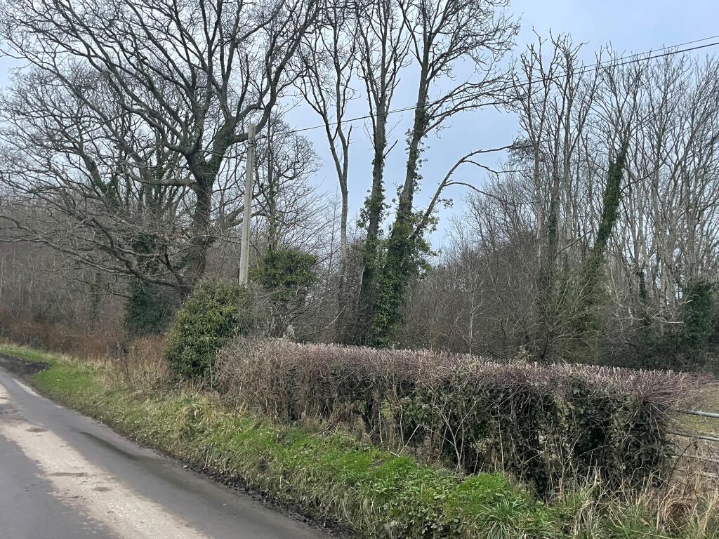 Additional property image - Land at Cinderford Lane, East Sussex, BN27 4HL