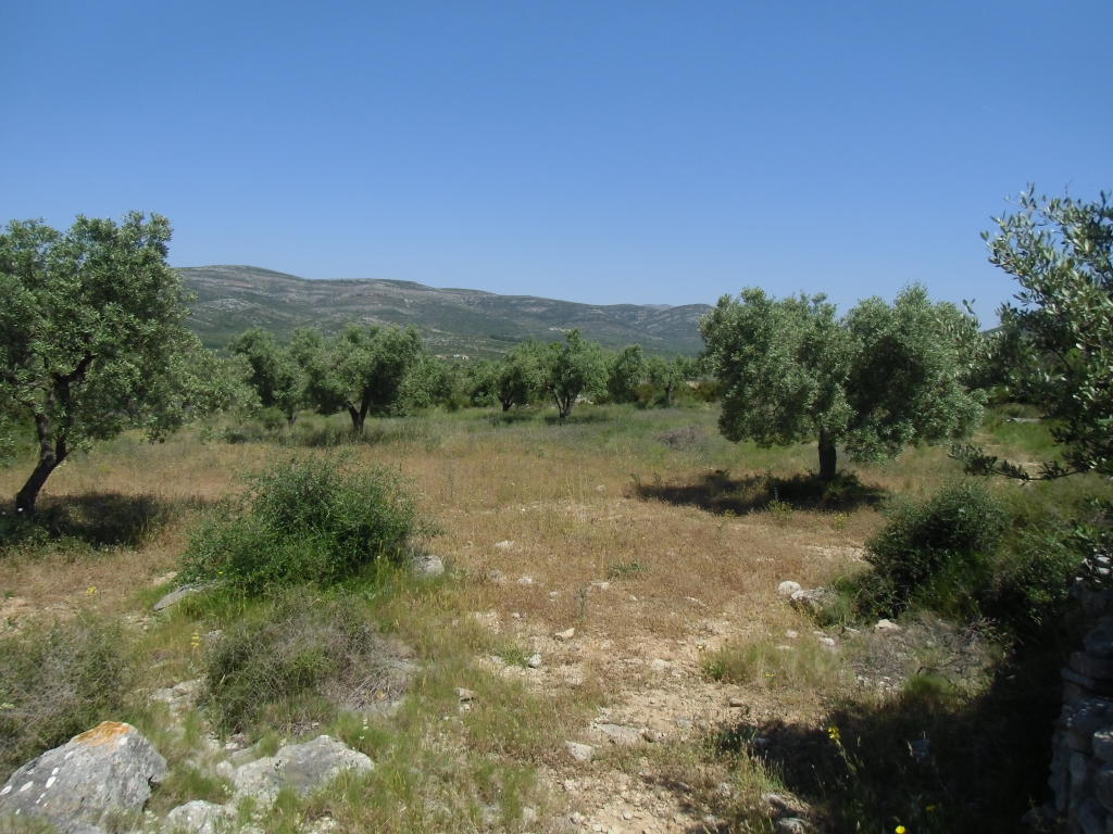 Land for sale in Spain