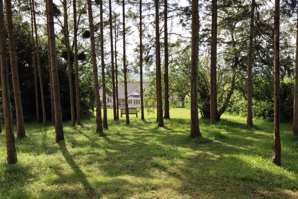 Additional property image - Wonderful detached residence within this popular semi rural location