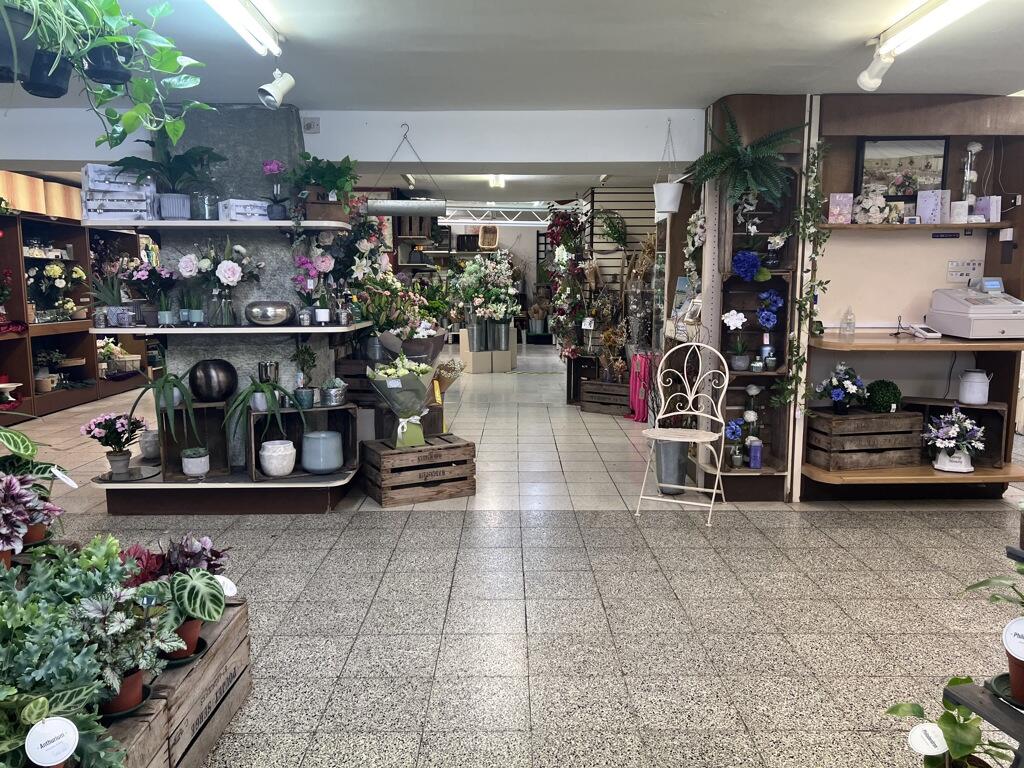 Additional property image - 116 High Street, Street, BA16 0EW