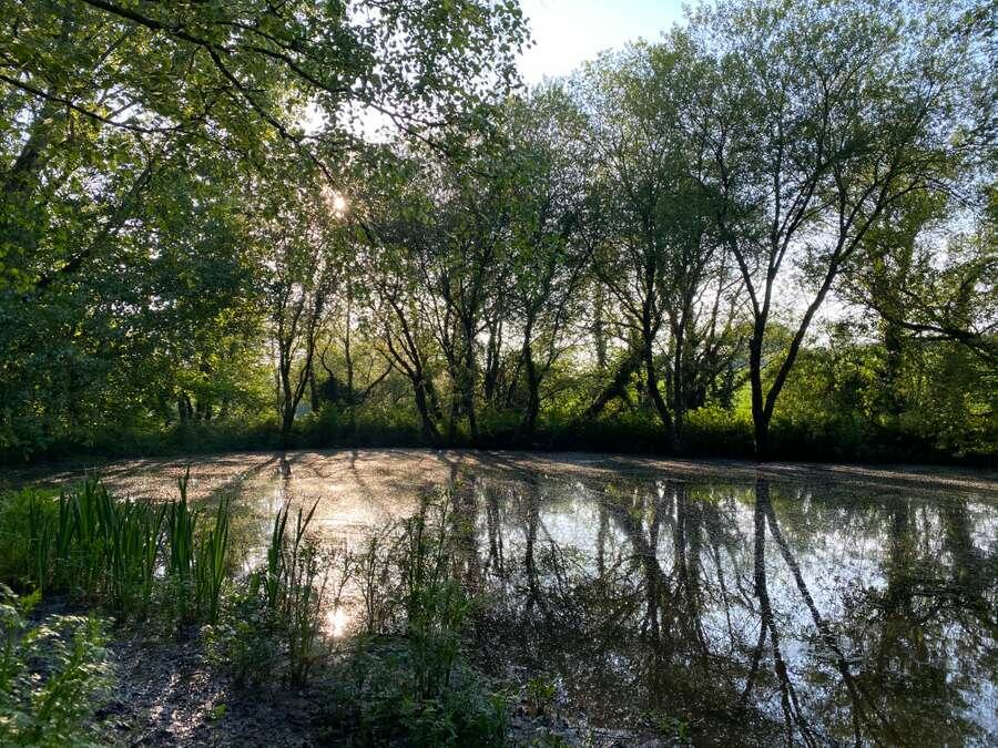 Hotel for sale in Boswell Farm Holiday Cottages, Sidmouth, EX10