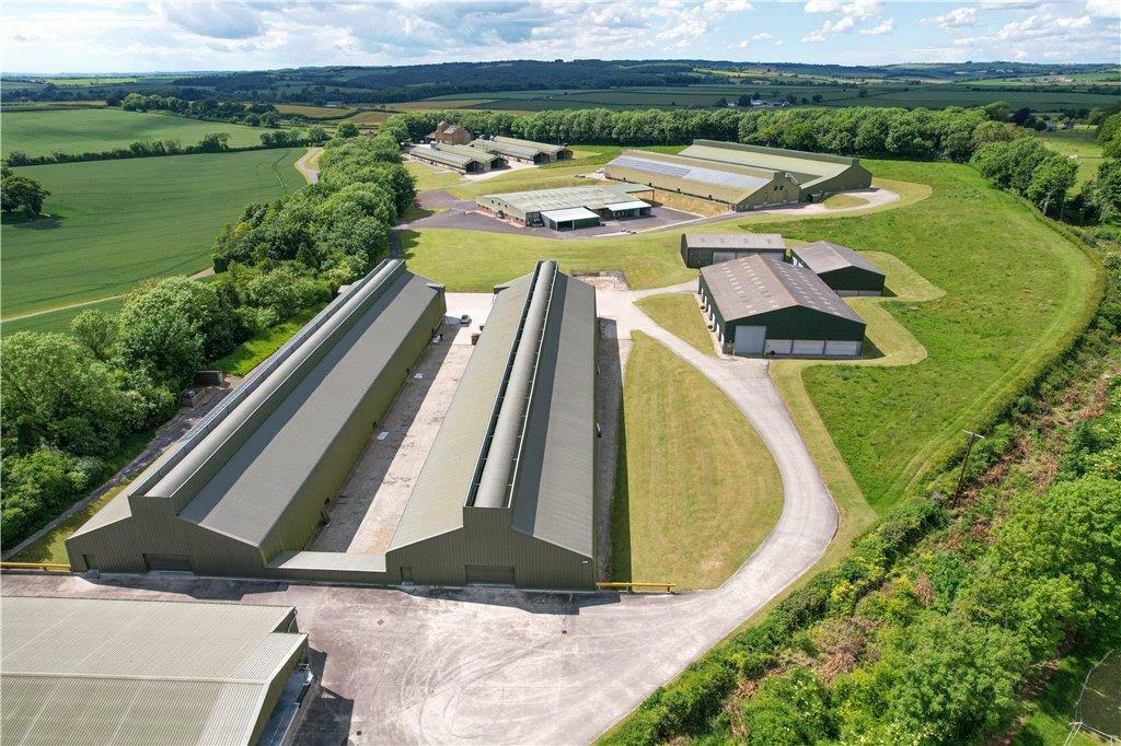 Light industrial facility to lease in Building C, Dorset Business Park