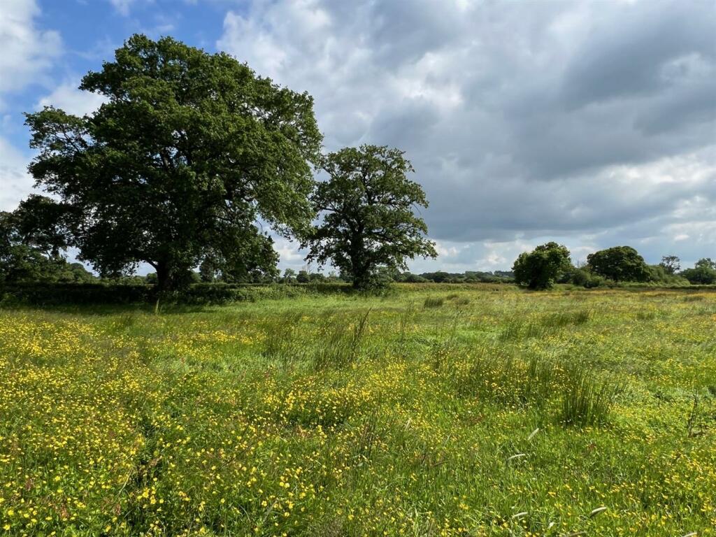 Land for sale in Ridley Wood, nr Wrexham., LL13