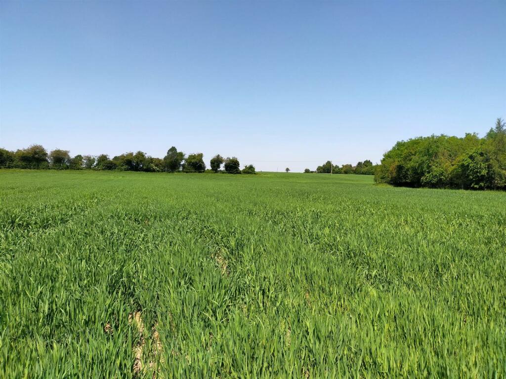 Land for sale in land on the south side of Ridgeway Court, Wychbold, WR9