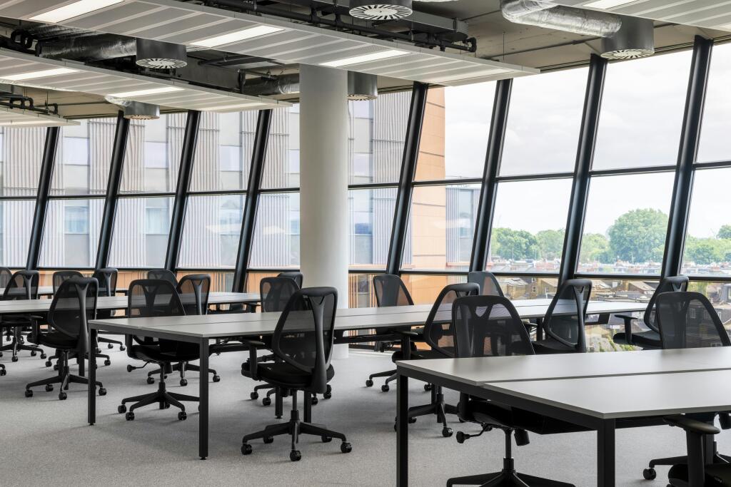 Peldon Rose  The Ark  Office Curator  LARGE16.jpg