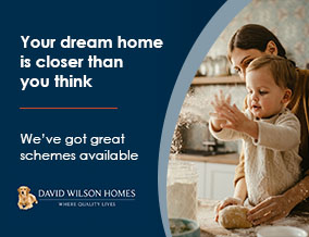 Get brand editions for David Wilson Homes Northampton