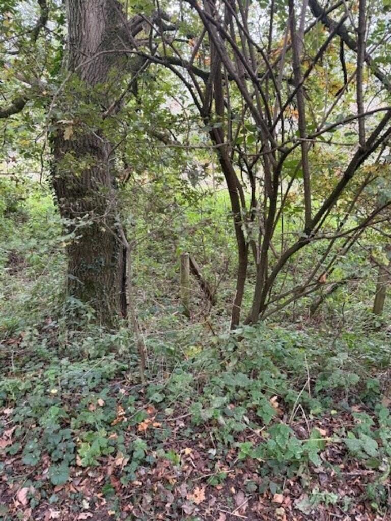 Main image of property: Heath Lane, Great Witchingham, Norwich