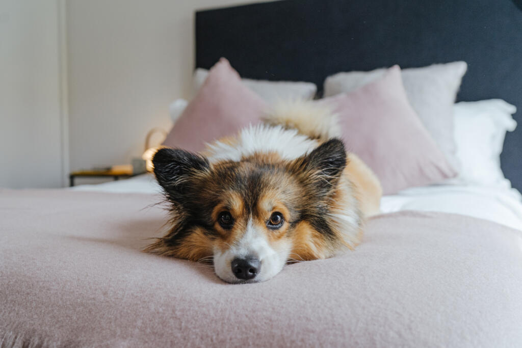 Main image of property: Glassworks, Greenford, London