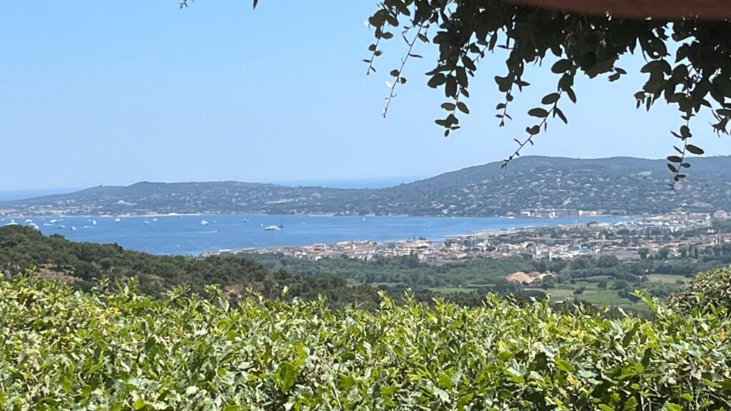 Main image of property: Provence-Alps-Cote d`Azur, Var, Grimaud
