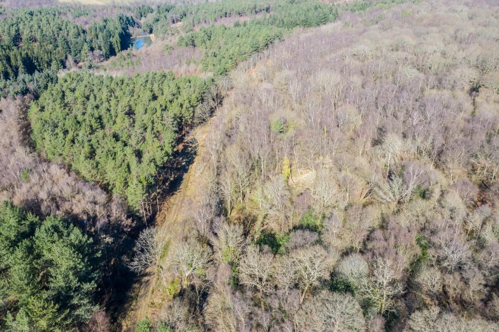 Land for sale in Springwood Road, Heathfield, East Sussex, TN218JX, TN21